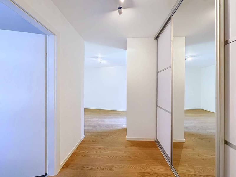 Spacieux appartement de 5.5 pièces avec terrasse et grand jardin (8)