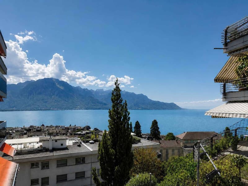 Charmant 2.5 pièces avec grande terrasse et vue sur le lac (1)