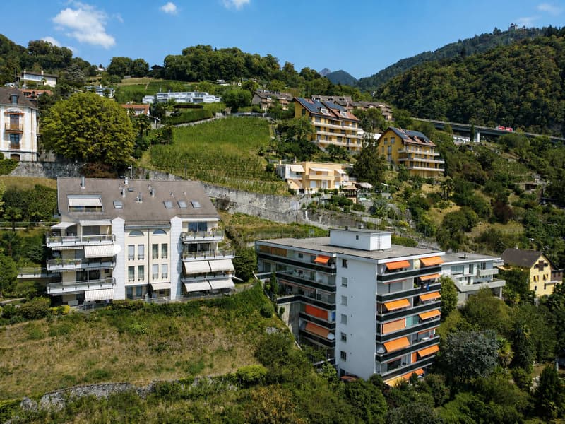 Charmant 2.5 pièces avec grande terrasse et vue sur le lac (4)