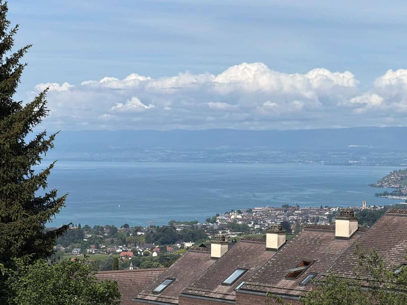 Villa individuelle de 6,5 pièces avec vue sur le lac Léman (4)