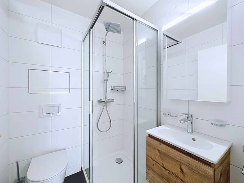 Spacieux appartement de 5.5 pièces avec terrasse et grand jardin (11)
