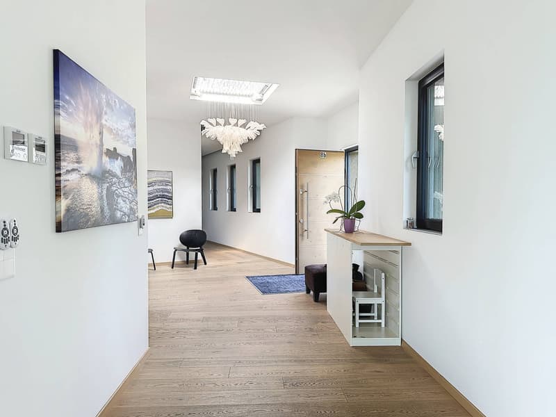 Splendide propriété située dans un quartier résidentiel, prestigieux et calme (7)