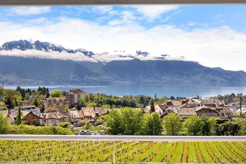 Élégante propriété contemporaine avec vue panoramique sur le Léman (3)