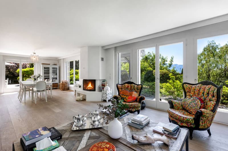 Villa individuelle de 6,5 pièces avec vue sur le lac Léman (2)