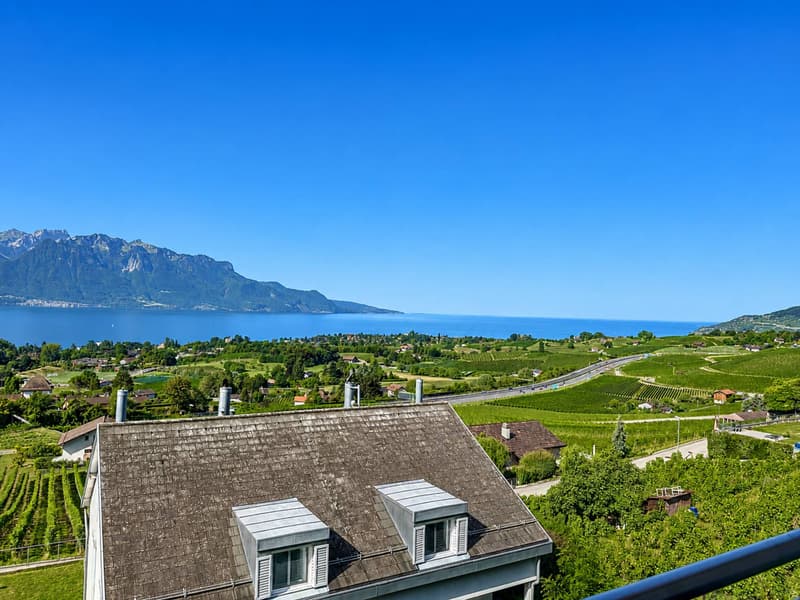 Villa jumelle de 5.5 pièces, avec vue panoramique sur le lac et les Alpes ! (10)
