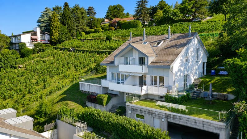Villa jumelle de 5.5 pièces, avec vue panoramique sur le lac et les Alpes ! (1)