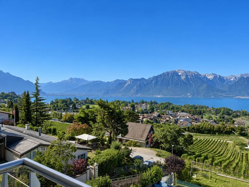 Villa jumelle de 5.5 pièces, avec vue panoramique sur le lac et les Alpes ! (2)