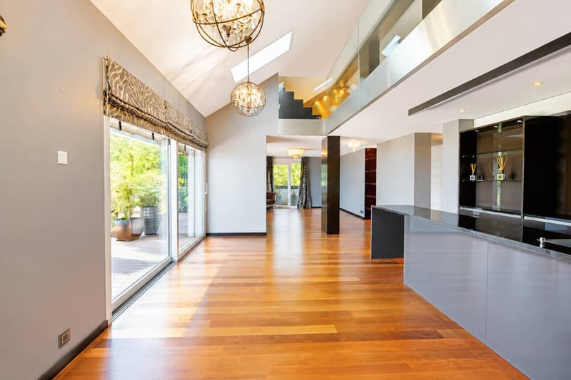 Magnifique attique en duplex avec vue imprenable sur le lac (3)