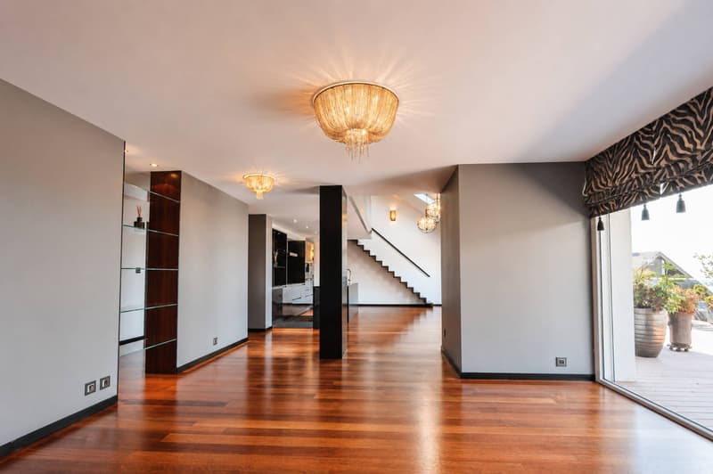 Magnifique attique en duplex avec vue imprenable sur le lac (9)