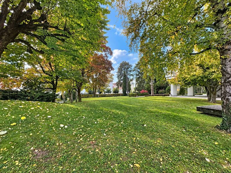 Superbe appartement idéalement situé à la Tour-de-Peilz (3)