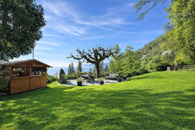 Propriété de charme dominant Montreux avec vue imprenable sur le lac (4)