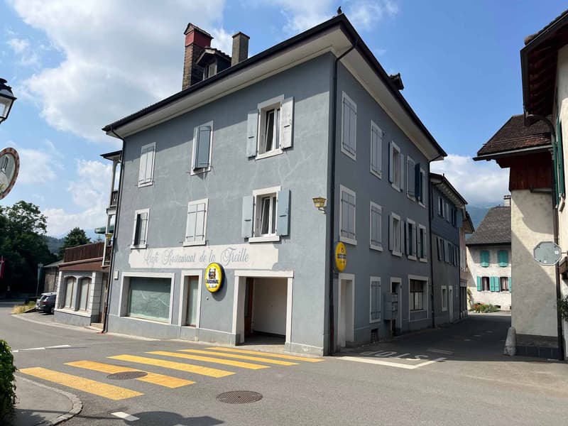 IMMEUBLE DE RENDEMENT AVEC LOCAL COMMERCIAL ET APPARTEMENTS (1)