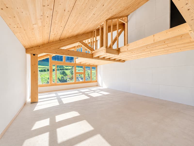 Duplex neuf avec jardin  L'élégance alpine au cur des Portes du Soleil (2)