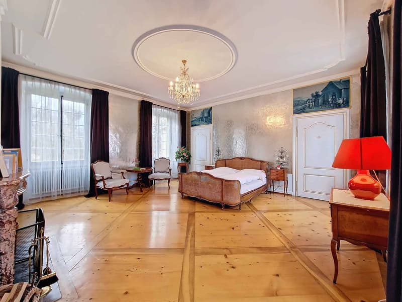 An exceptional estate steeped in history A rare opportunity on the market! (9)