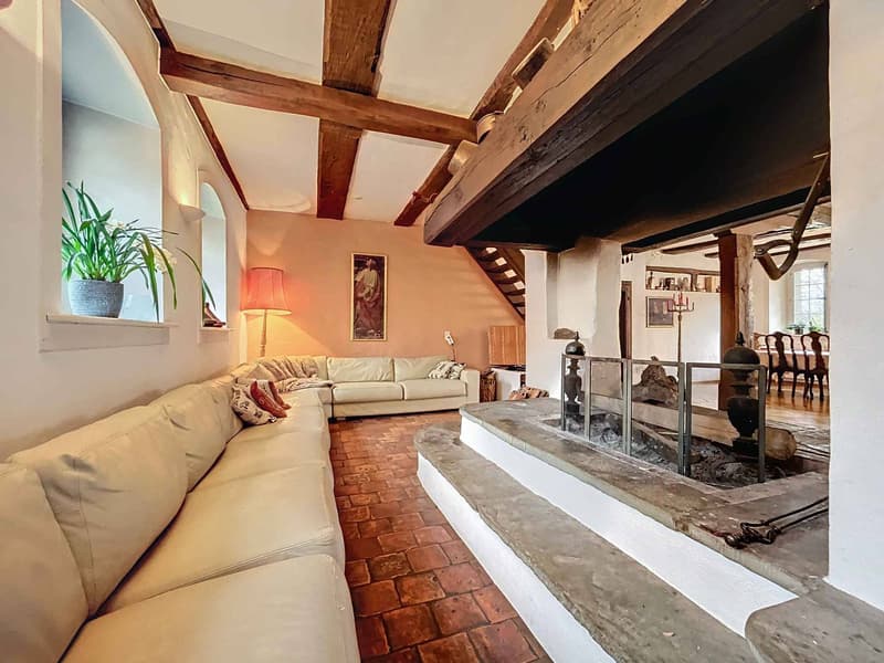An exceptional estate steeped in history A rare opportunity on the market! (5)