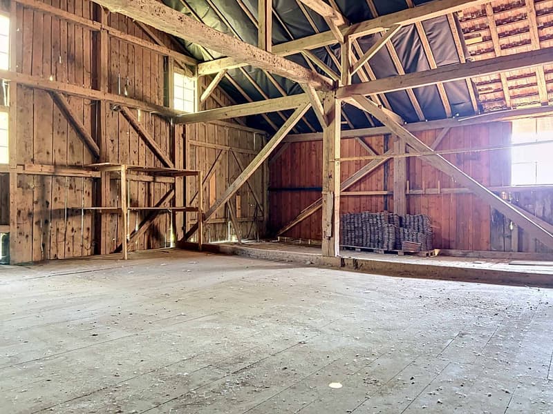 Charming 7-room farm to renovate, peaceful environment with outbuildings (10)