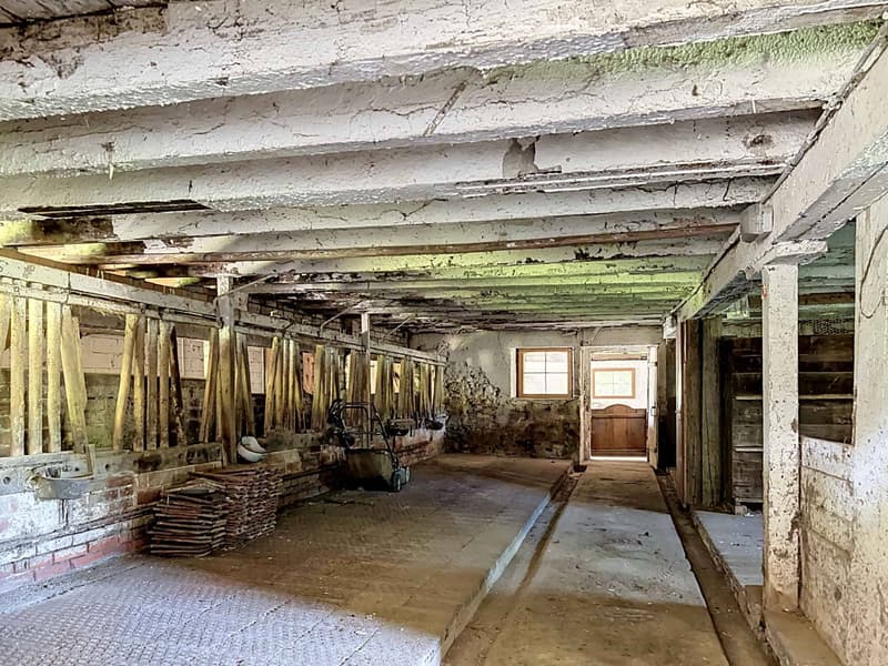 Charming 7-room farm to renovate, peaceful environment with outbuildings (11)