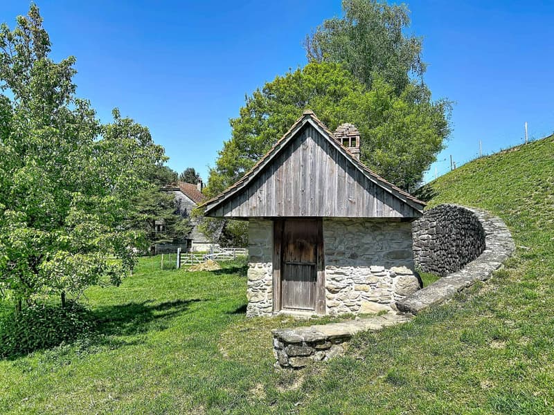 Charming 7-room farm to renovate, peaceful environment with outbuildings (12)