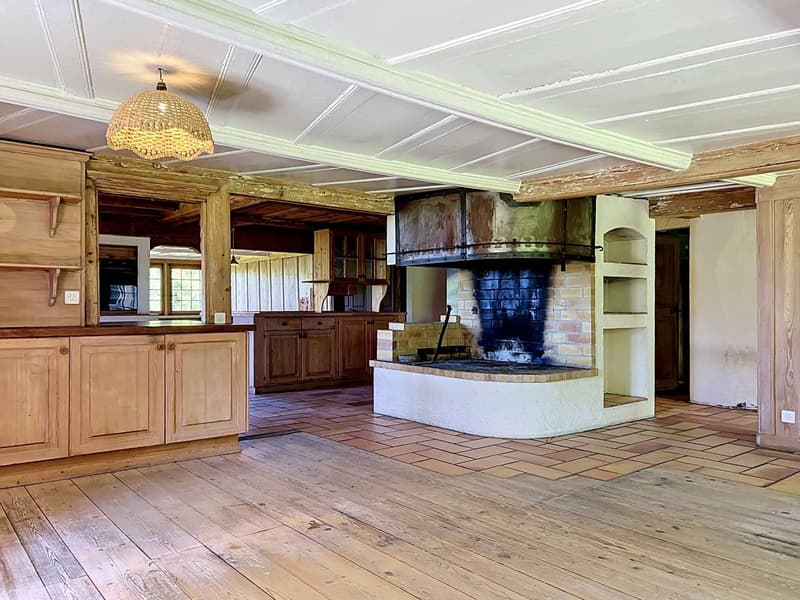 Charming 7-room farm to renovate, peaceful environment with outbuildings (4)