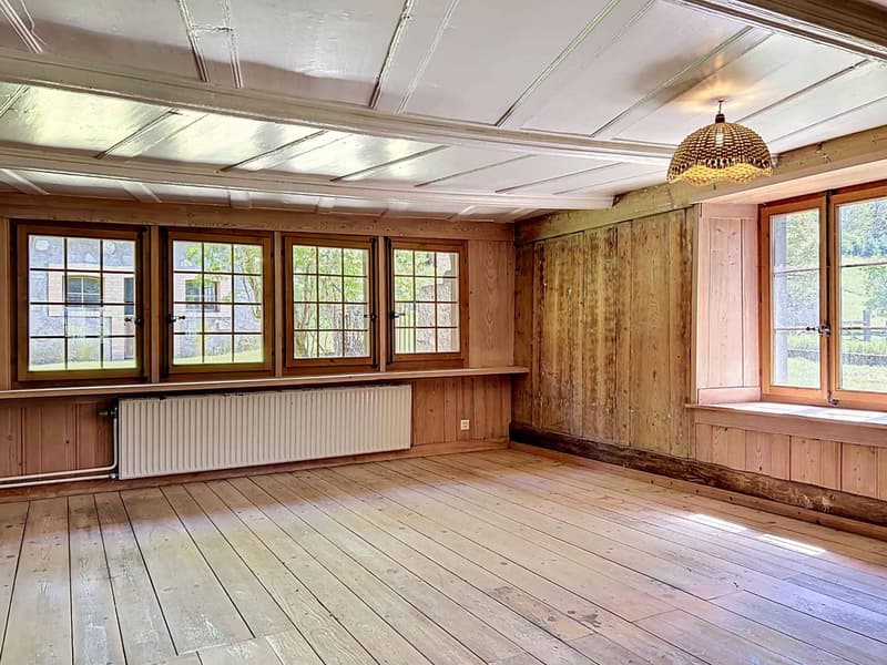Charming 7-room farm to renovate, peaceful environment with outbuildings (3)
