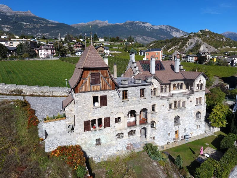 Schloss Le Paradou (3)