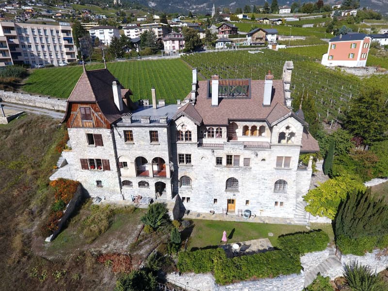 Schloss Le Paradou (1)