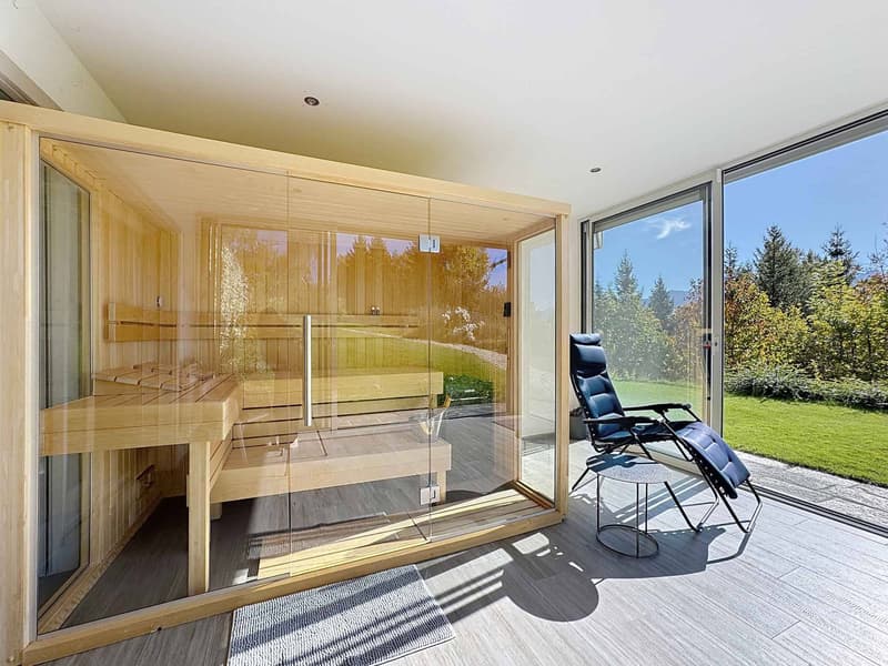 Exceptional Chalet Mayens d'Arbaz (10)