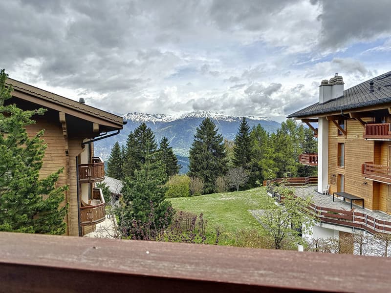 Magnificent chalet just two steps from the center of the Anzère ski resort (4)