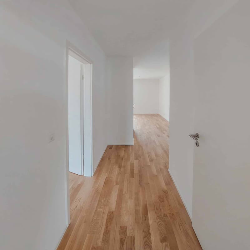 Lot F-102 - 2.5-room apartment on the 1st floor (4)