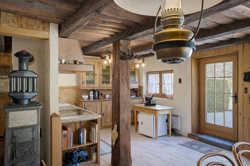 Character chalet in Mayens-de-Chamoson (3)