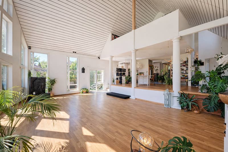 Canadian house in the heart of a green setting (3)
