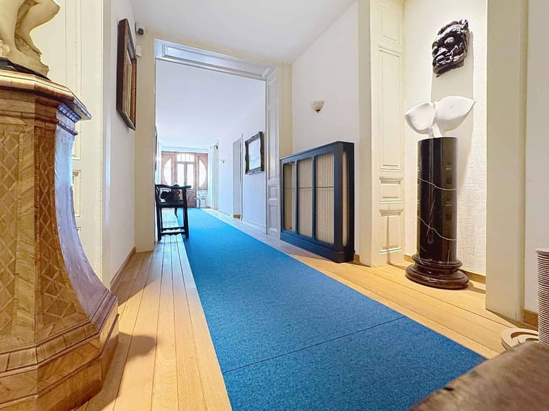 Character Residence - Exceptional Attic (4)