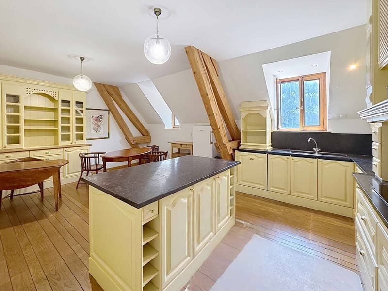 Character Residence - Exceptional Attic (6)