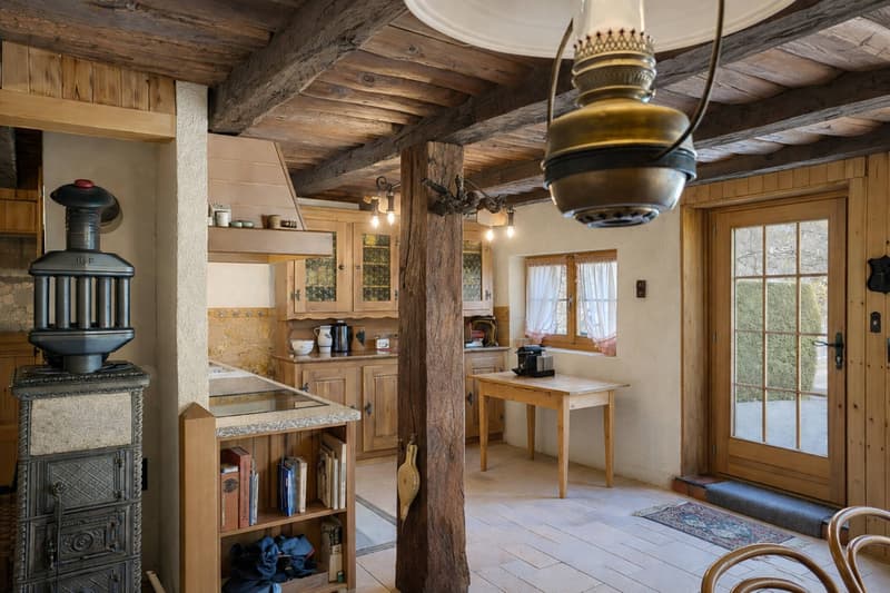 Chalet de caractère aux Mayens-de-Chamoson (2)
