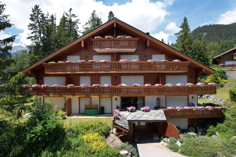 PLANS-MAYENS - Charming 2.5-room apartment just a stone's throw from the ski slopes (1)