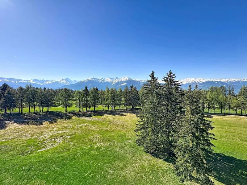 6.5-room attic apartment facing the golf course with superb views + studio (2)