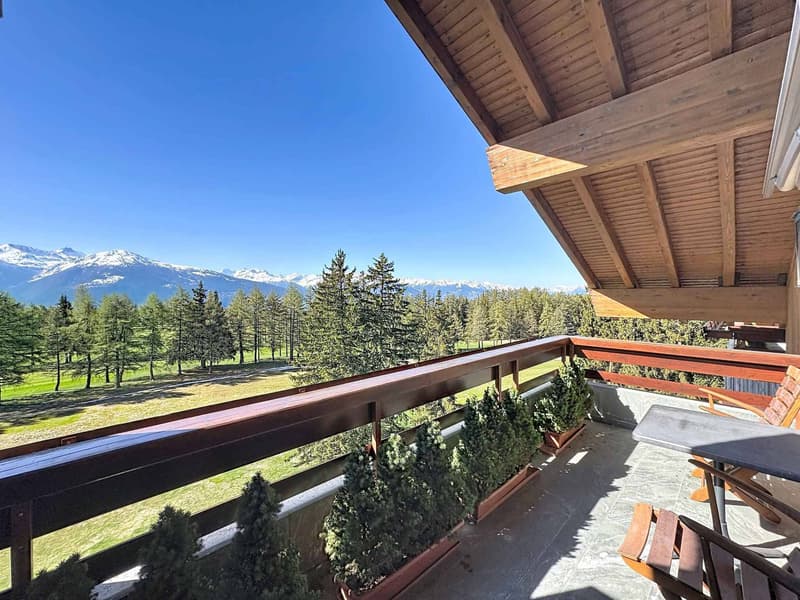 6.5-room attic apartment facing the golf course with superb views + studio (3)