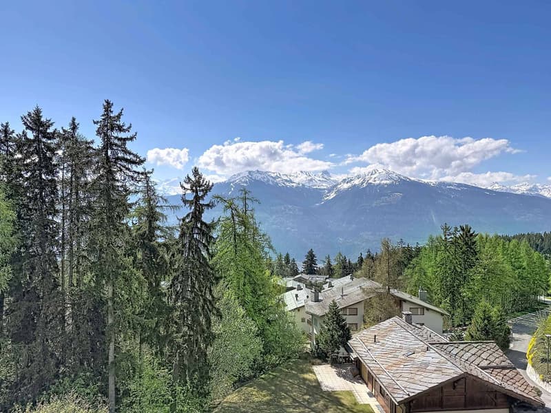 MAGNIFICENT DUPLEX/ATTIC OF 6.5 ROOMS IN THE CENTER WITH VERY BEAUTIFUL VIEW (2)