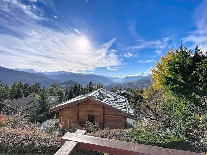 VERY BEAUTIFUL 3.5-ROOM APARTMENT WITH EXCEPTIONAL PANORAMIC VIEW (2)