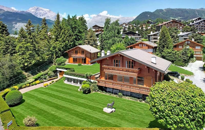 Estate with 2 individual chalets connected by basements (2)