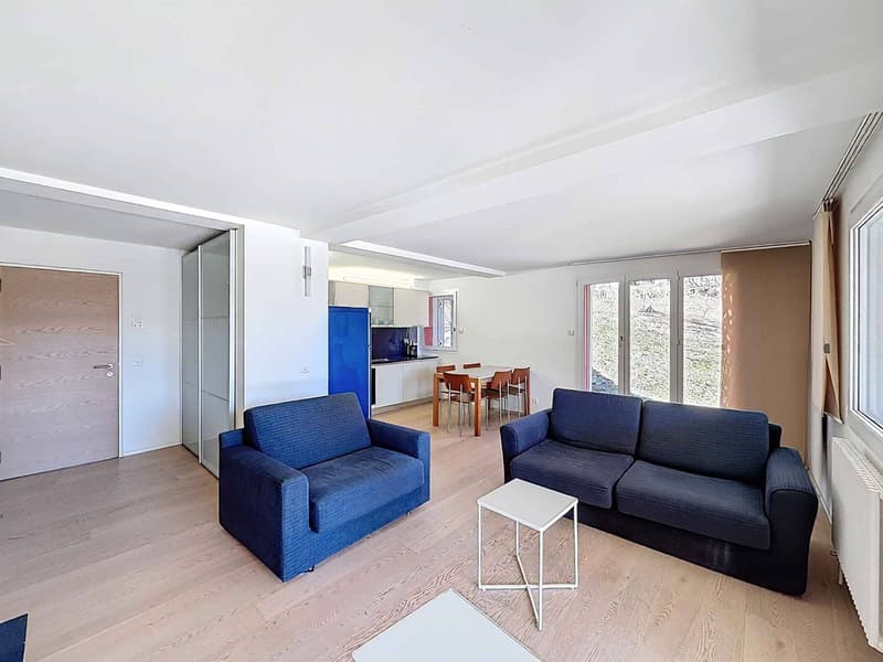 VIOLETTES - CHARMING 2.5 ROOMS TWO STEPS FROM THE DEPARTURE OF THE CABLE CARS (3)
