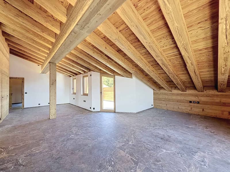 RARE - SPLENDID ATTIC WITH PANORAMIC VIEW - NEW (5)