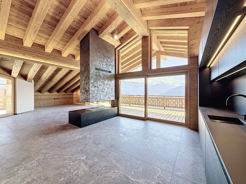 RARE - SPLENDID ATTIC WITH PANORAMIC VIEW - NEW (2)