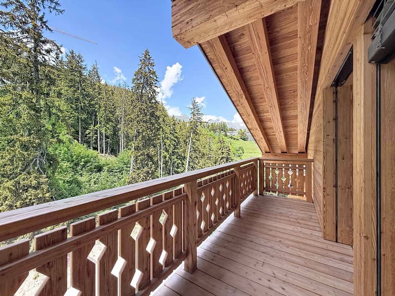 RARE - SPLENDID ATTIC WITH PANORAMIC VIEW - NEW (11)