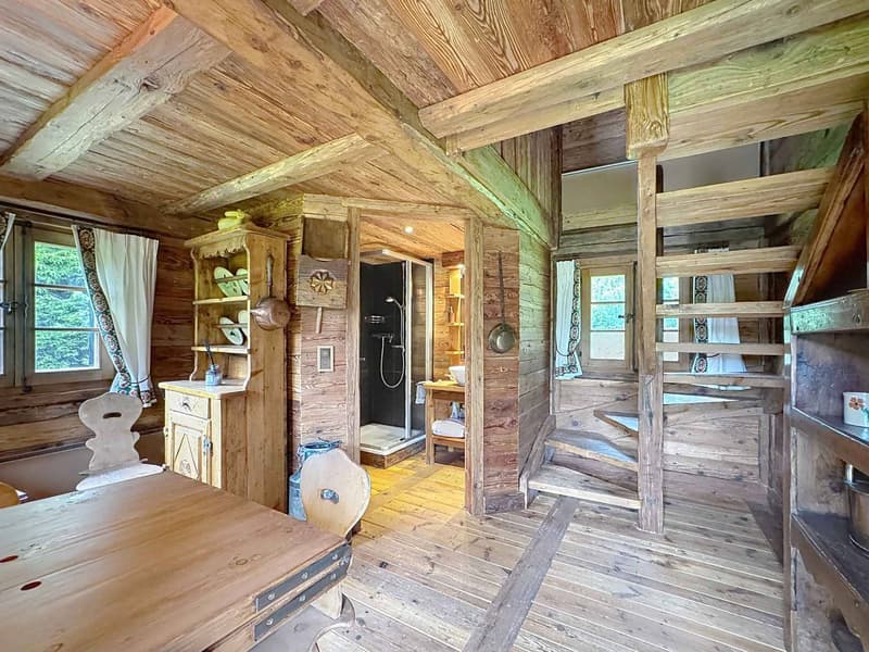 Splendide chalet avec mayen sur une magnifique parcelle (10)