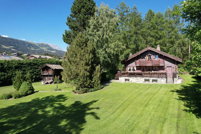 Splendide chalet avec mayen sur une magnifique parcelle (1)