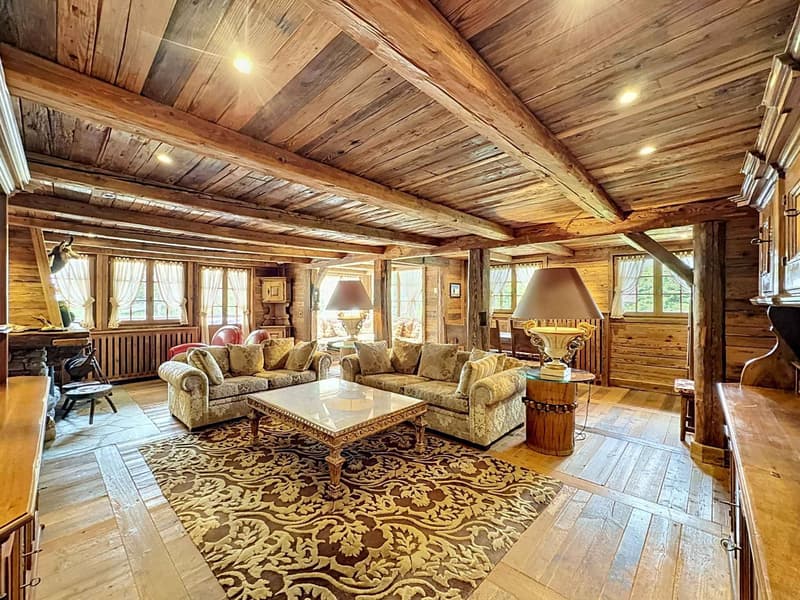 Splendide chalet avec mayen sur une magnifique parcelle (3)
