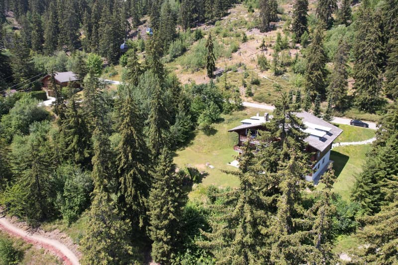Incantevole appartamento di 3.5 locali, atmosfera chalet e accesso ski-in/ski-out (10)