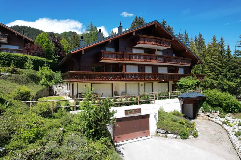 Plans Mayens - Charmant 3.5 pièces au calme absolu (13)