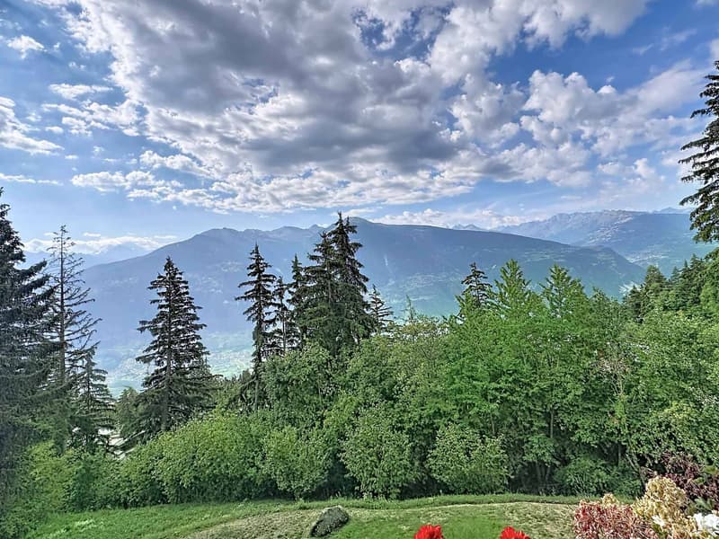 Très beau 4.5 pièces en duplex/attique avec très belle vue sur les Alpes (1)